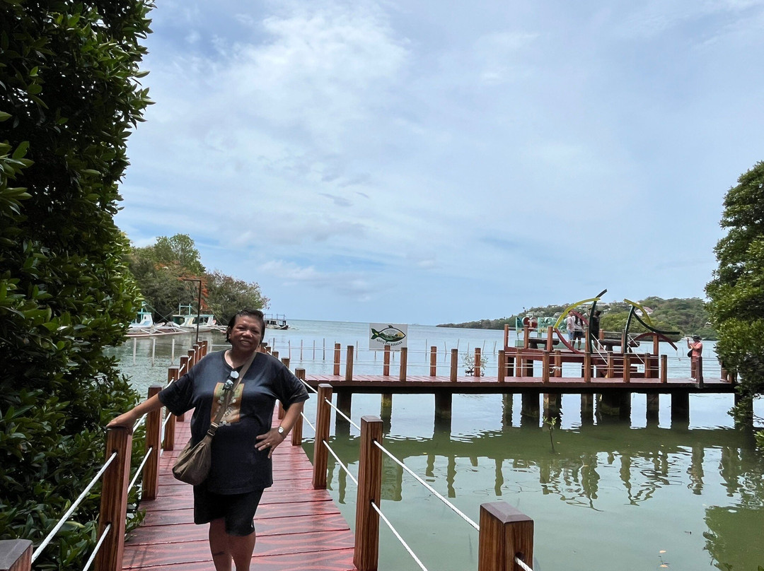 Mangrove Nursery-长滩岛必去景点