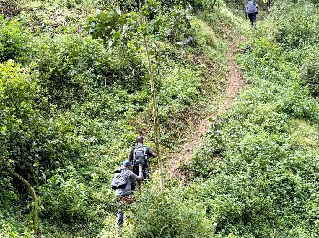 Nyungwe National Park - Rwanda-Western Province必去景点