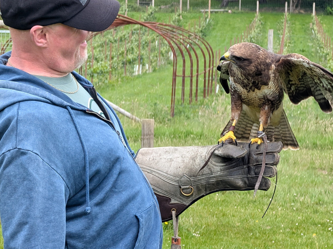 UK Owl And Raptor Centre-Groombridge必去景点