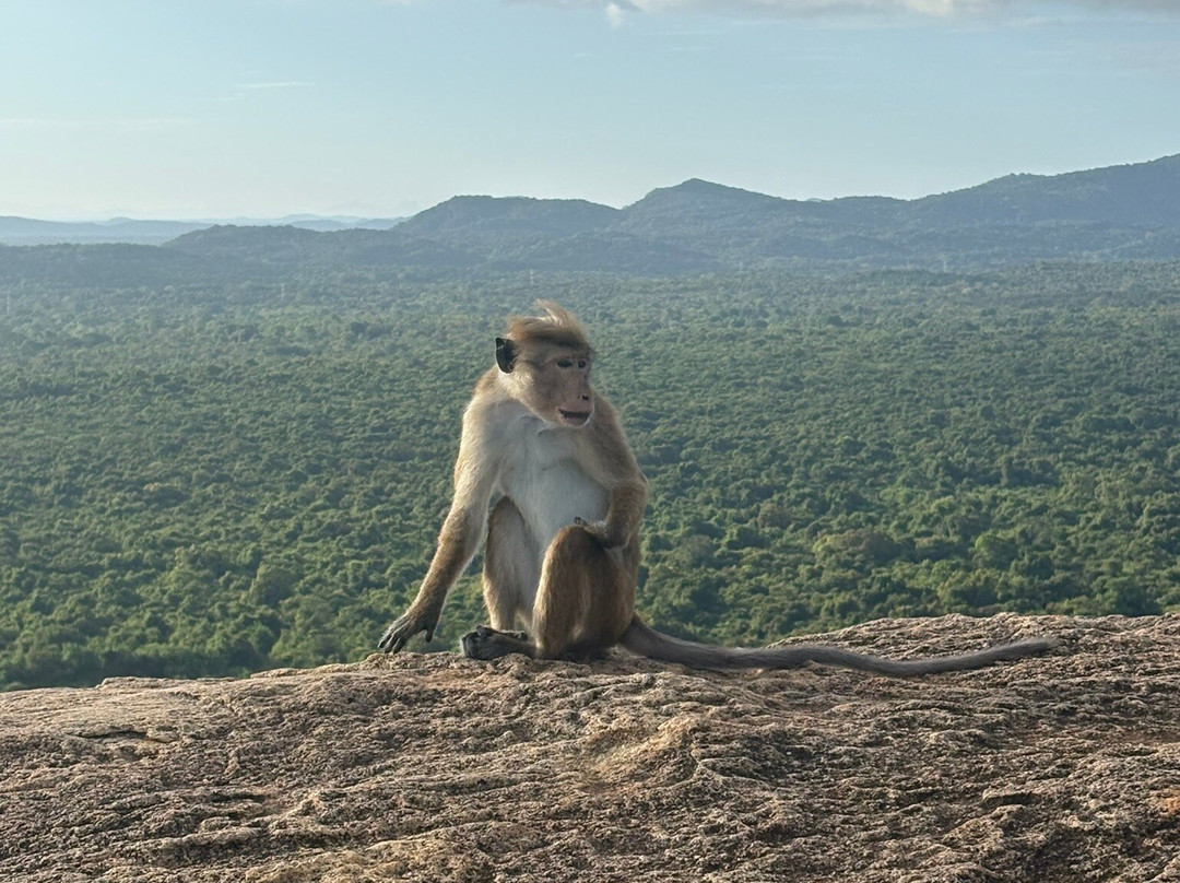 Jaye Wannakumudiyanselage top tour sri lanka-班达拉维拉必去景点