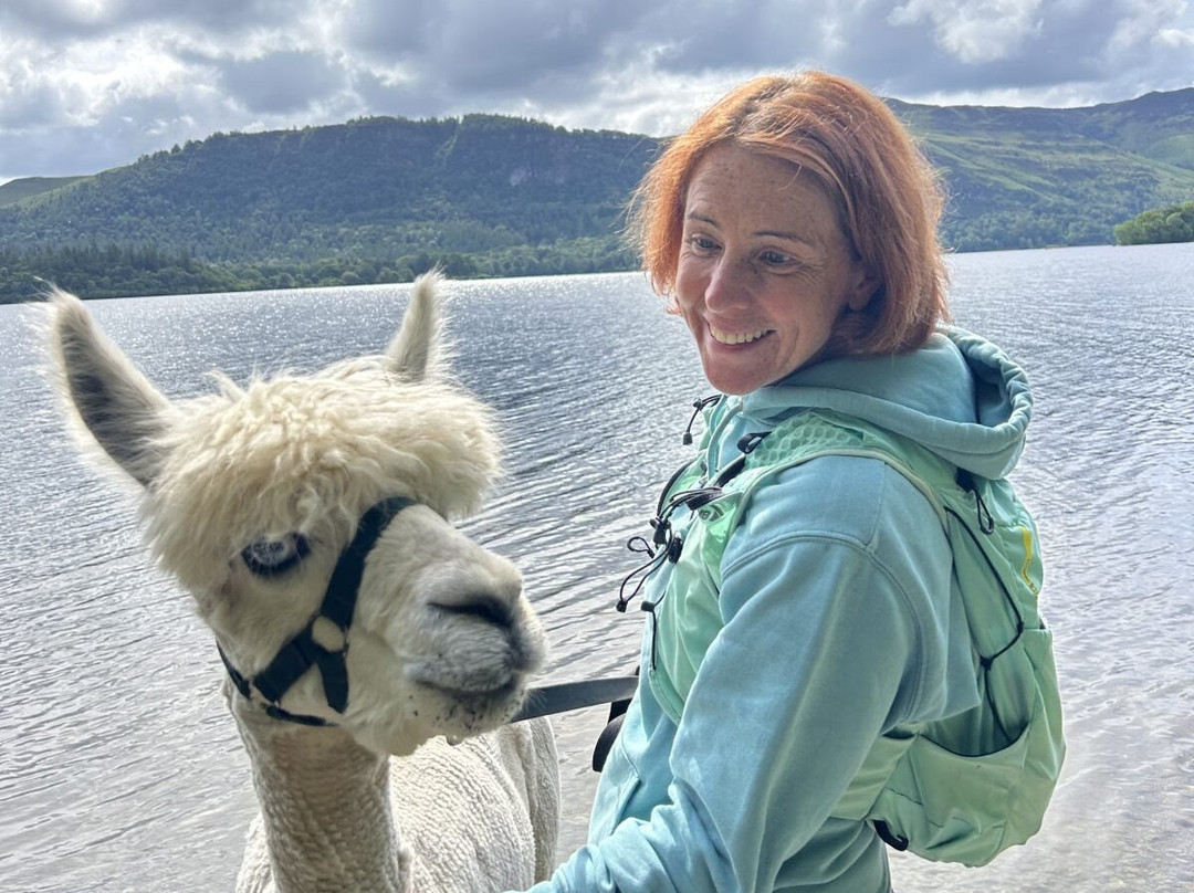 Alpacaly Ever After-Portinscale必去景点