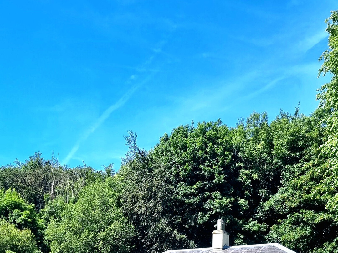 1798 Saintfield Walking Tour-Saintfield必去景点
