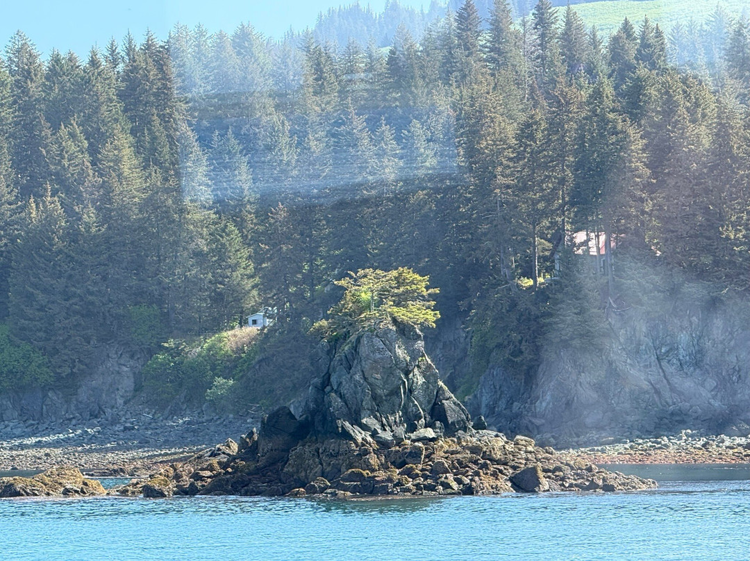 Seldovia Bay Ferry-荷马必去景点