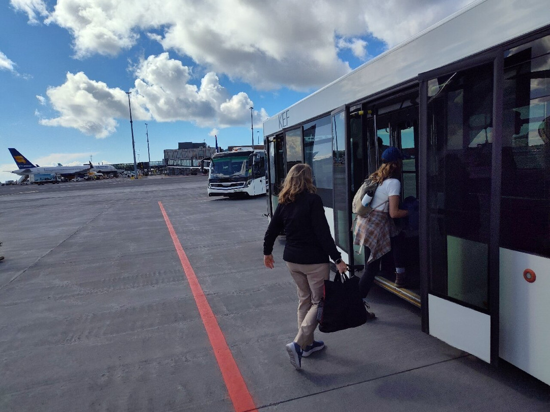Flybus Airport Transfer-雷克雅未克必去景点