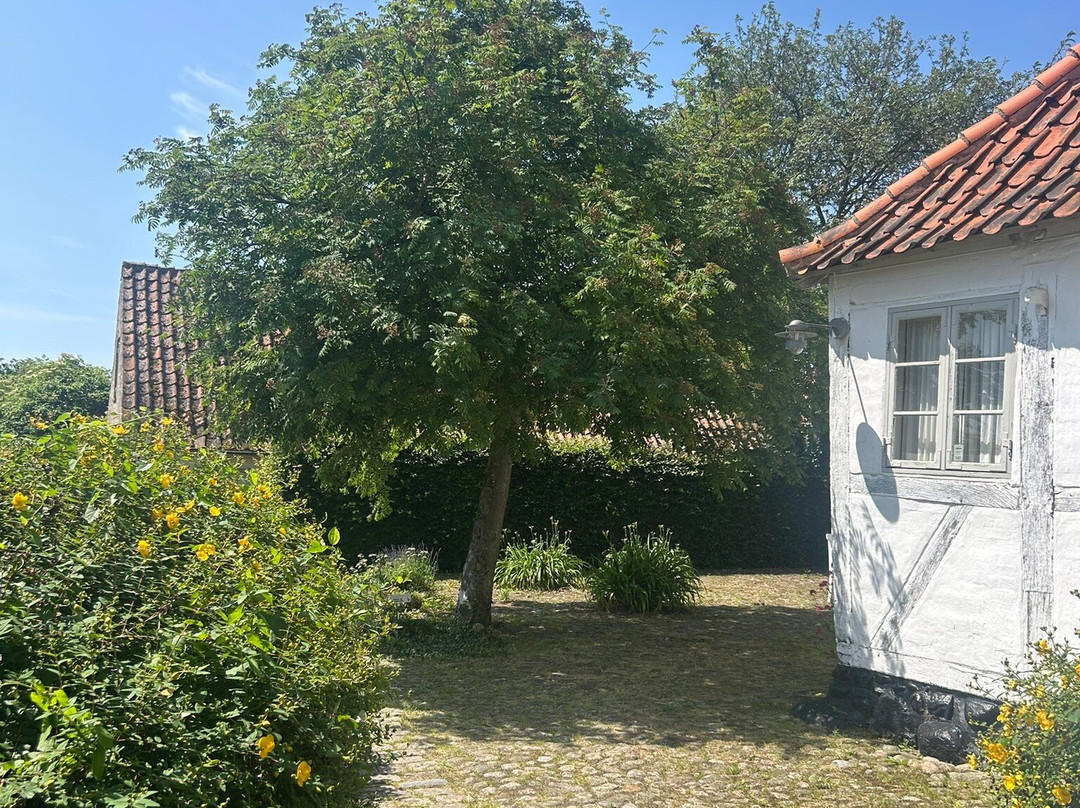 Museet Aarestrups Hus-Nysted必去景点
