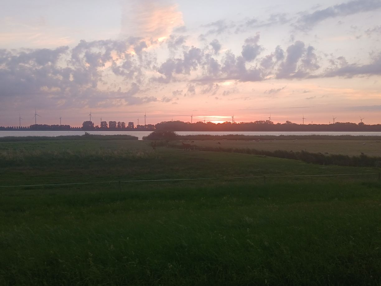 Bed and Breakfast de Zwanebloem-旅行者