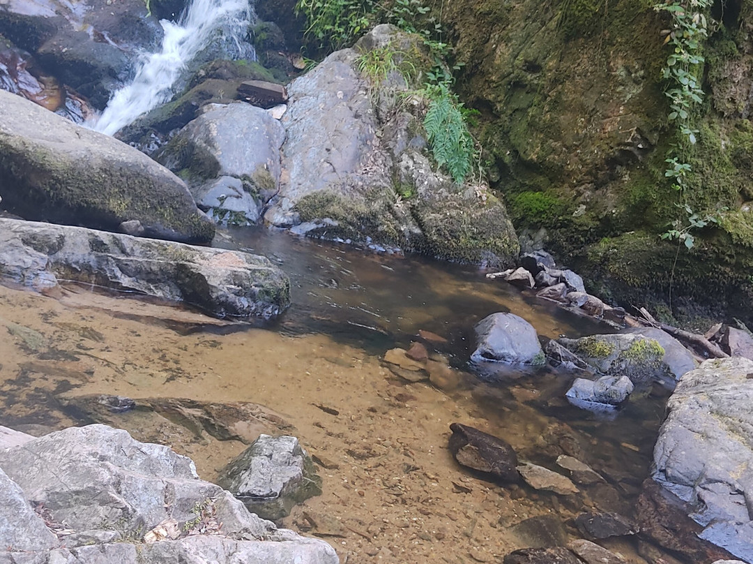 Circuit des Cascades de Tendon-Tendon必去景点