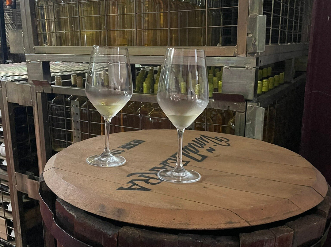 Bodegas Petralanda-Fuenmayor必去景点