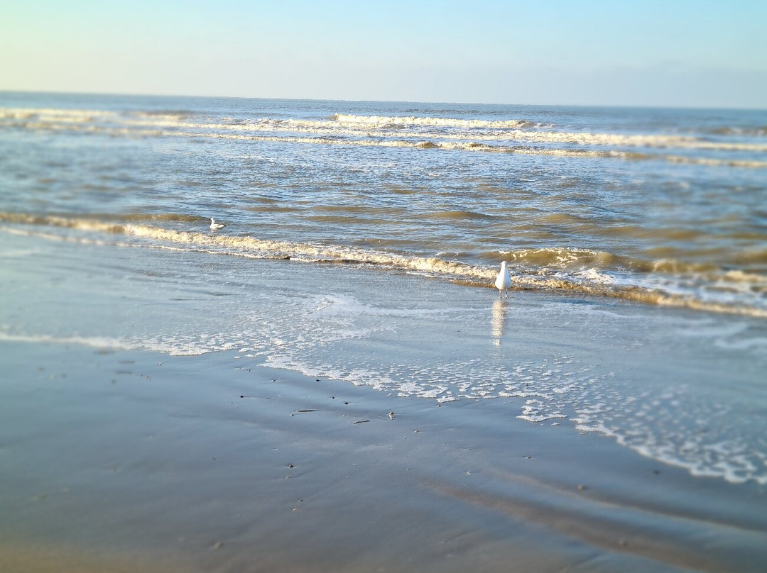 Zandvoort Aan Zee-赞德沃特必去景点