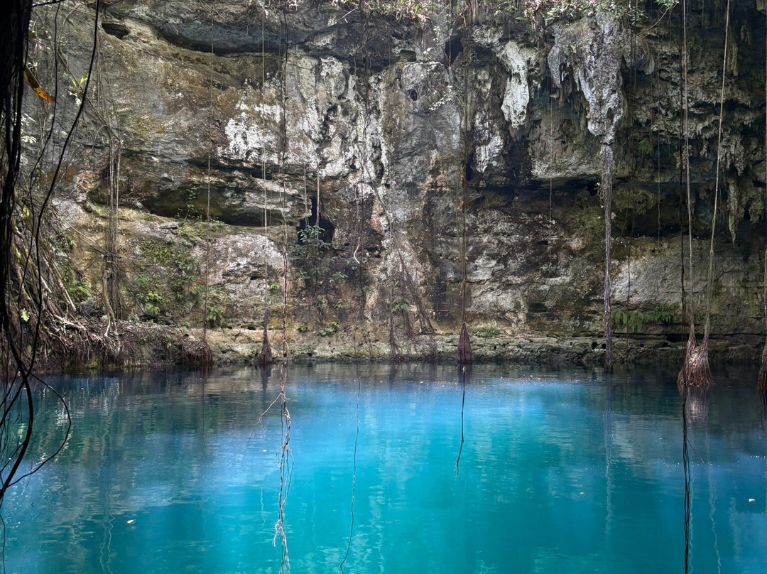 Experiencia Privada en Cenote Exclusivo-巴利亚多利德必去景点