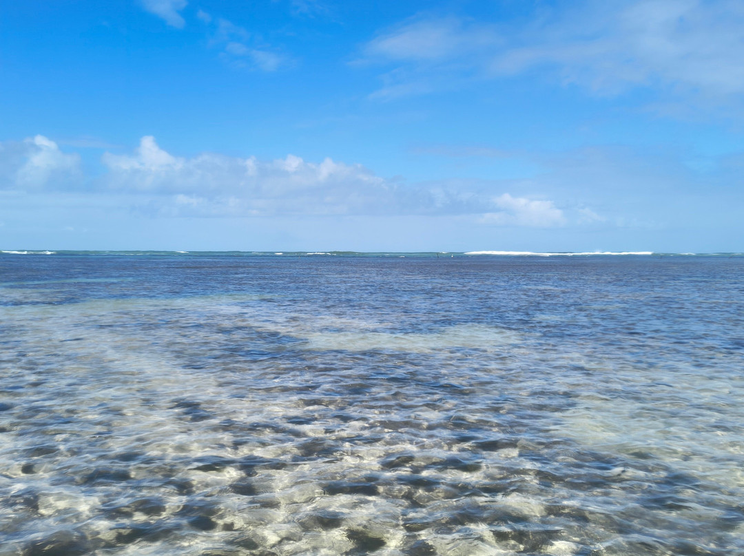 Piscinas Naturais De Pajucara-Maceio必去景点