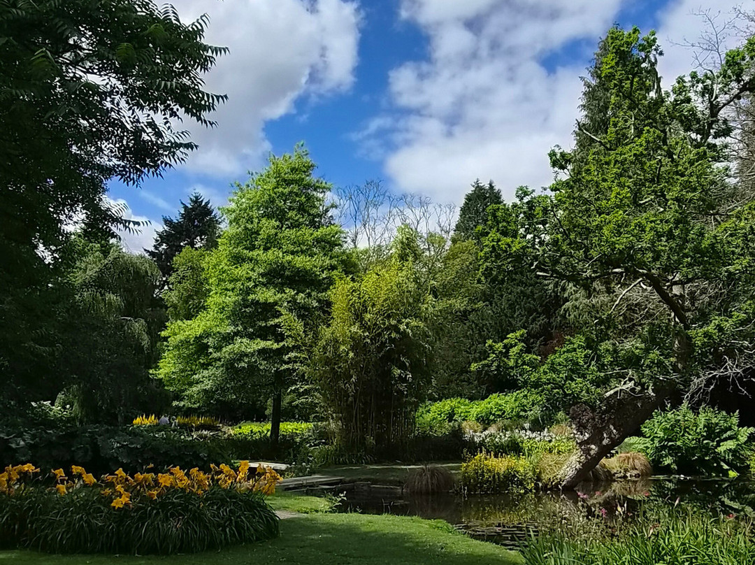 Longstock Water Gardens-Stockbridge必去景点