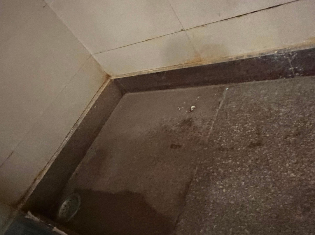 查漠丽王酒店主图
