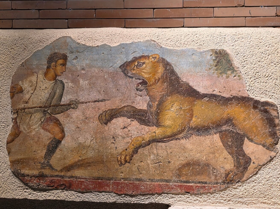 Museo Nacional de Arte Romano-梅里达必去景点