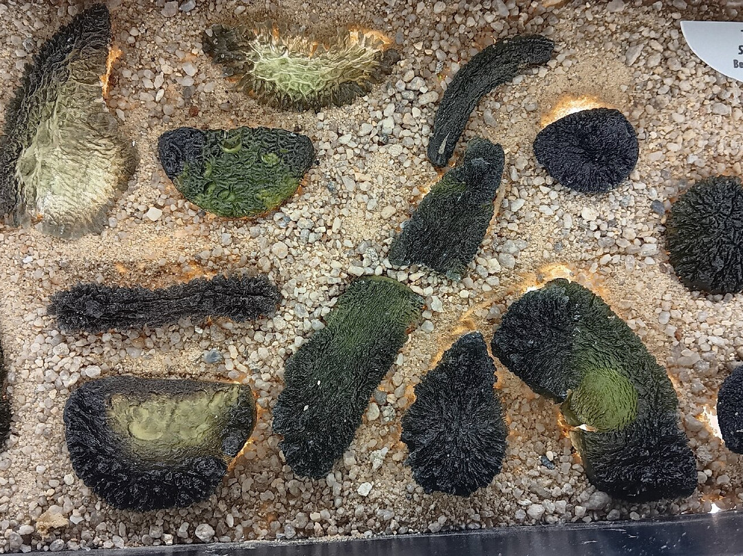 Moldavite Museum - Muzeum vltavinu-克鲁姆洛夫必去景点