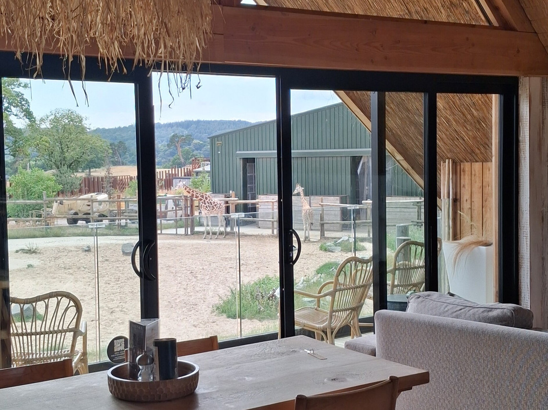 Safari Lodges At West Midlands Safari Park主图