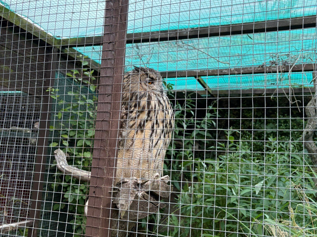Andy Howeys Birds of Prey Centre-特威德河畔贝里克必去景点