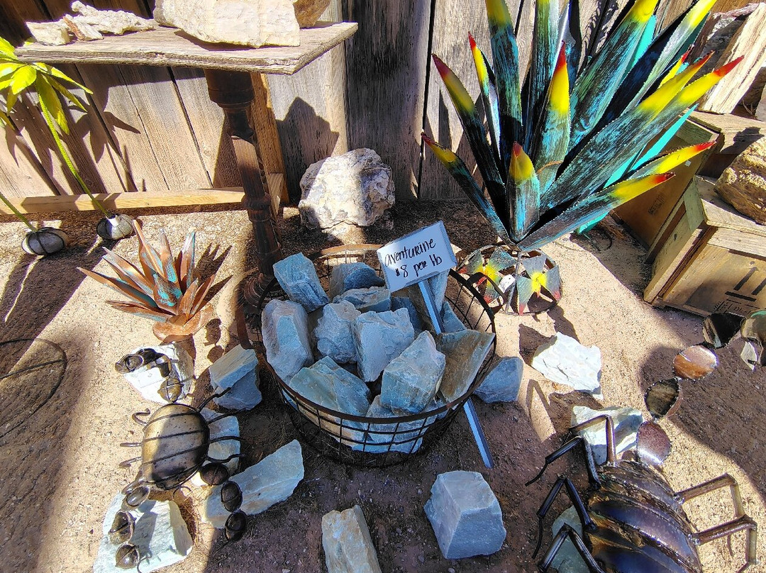 Cactus Joe's Blue Diamond Nursery-拉斯维加斯必去景点