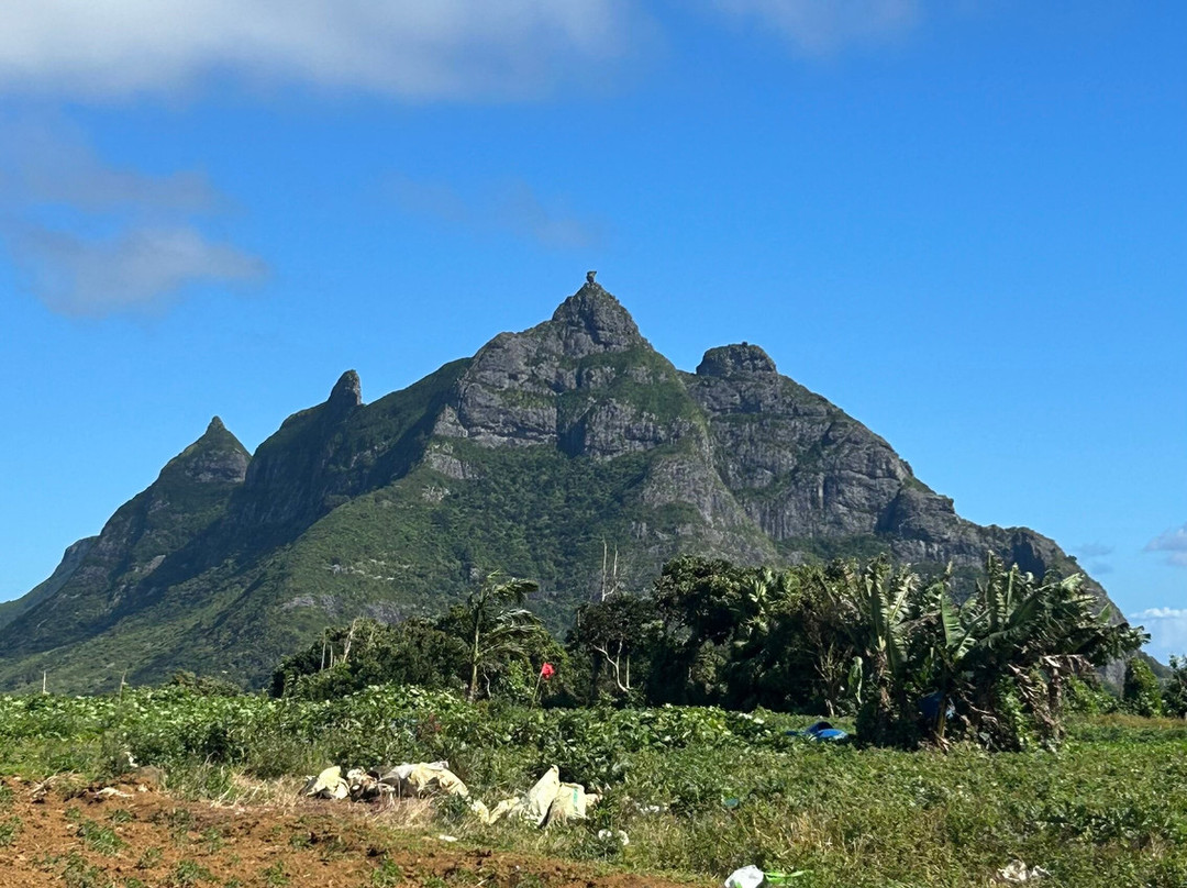 Nature Trails Mauritius-卡特勒博尔纳必去景点
