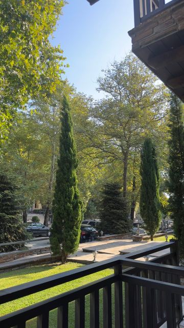 Thermes Pozar Resort-旅行者