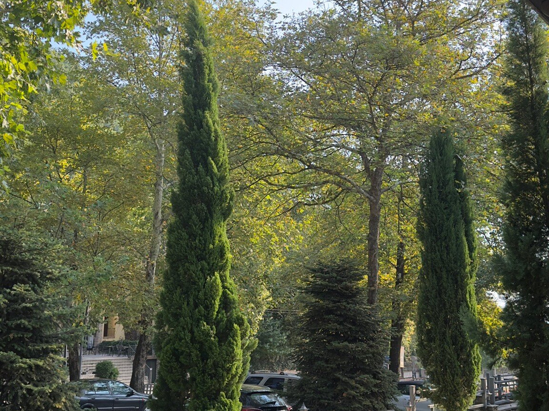 Thermes Pozar Resort主图
