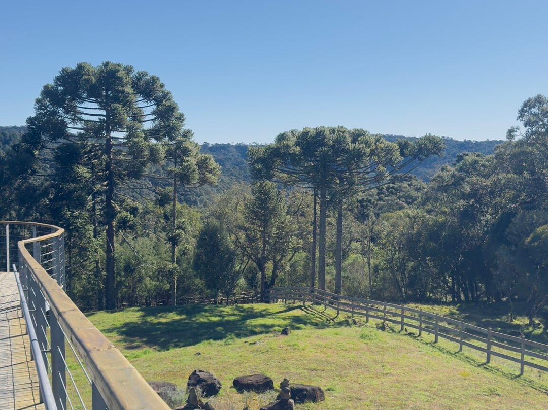 Eco Parque Cachoeira Papuã-Urubici必去景点