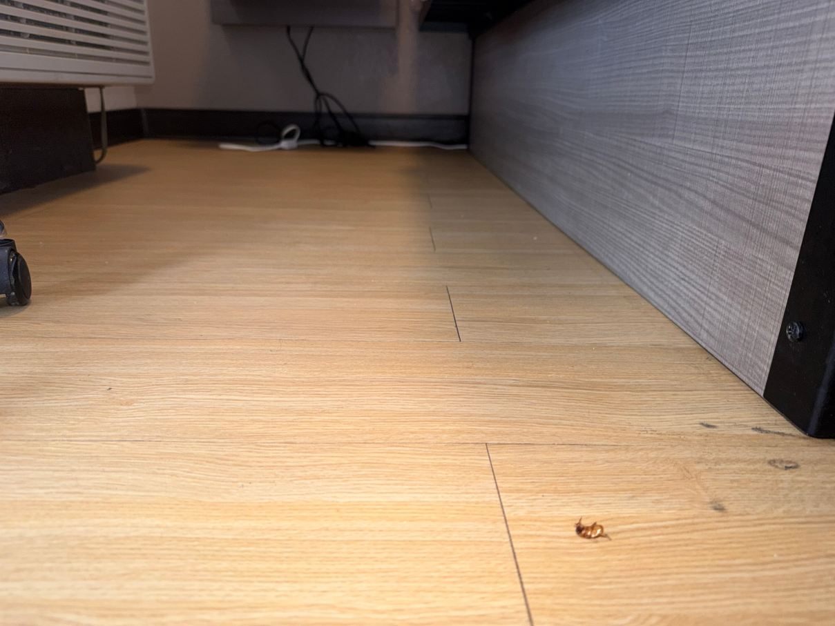 底特律梅特罗机场红顶酒店-泰勒-旅行者