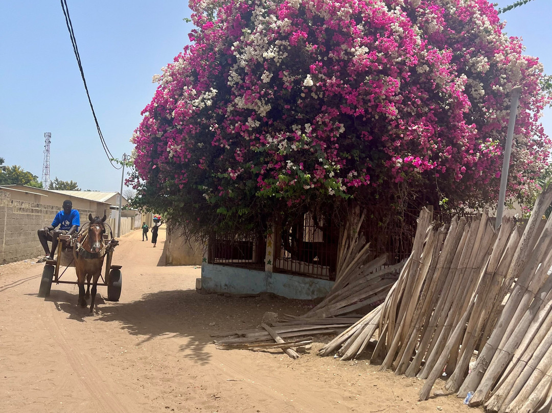 Iles du Saloum Decouverte-Ndangane必去景点