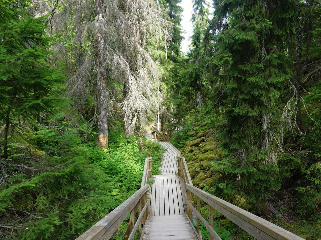 Mäkiautio Gorge-Tahkovuori必去景点
