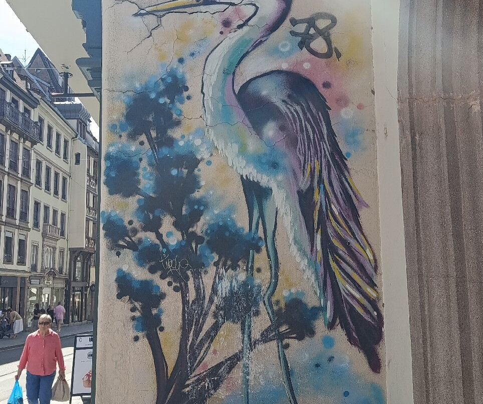 Centre-Ville de Strasbourg-斯特拉斯堡必去景点