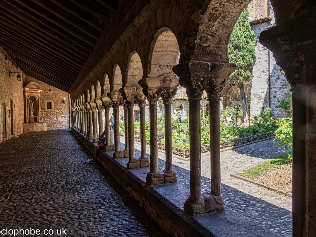 Cloitre de la Collegiale Saint Salvy-阿尔比必去景点
