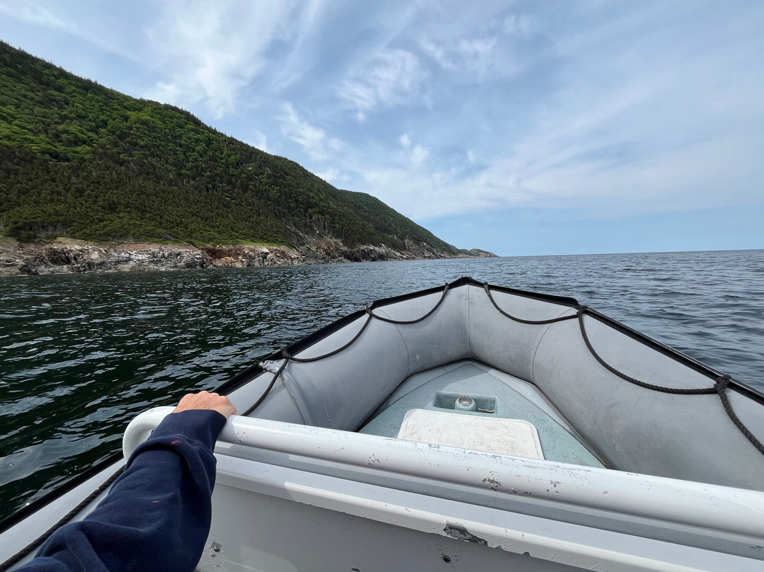 Capt. Mark's Whale and Seal Cruise-Pleasant Bay必去景点