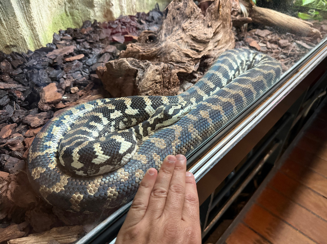 热那亚水族馆-热那亚必去景点