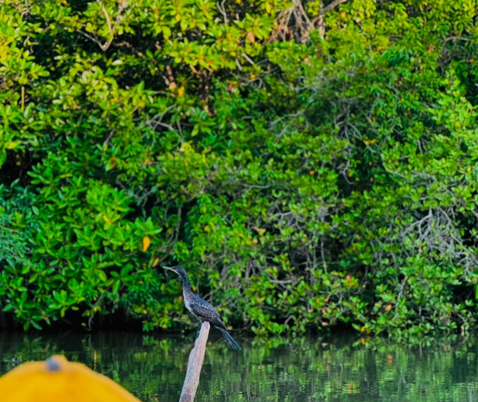 ''Kayak adventure in Rekawa Lagoon''-Rekawa必去景点