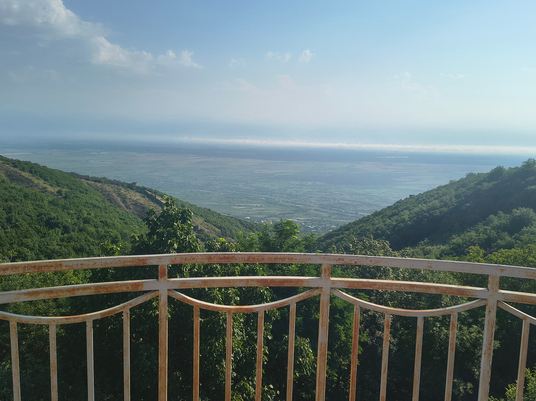 David Zandarashvili's Guesthouse主图