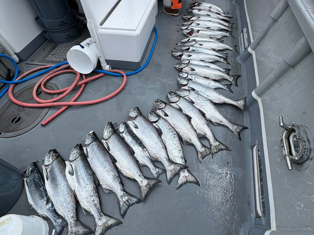 Tornado Fishing Charters-Westport必去景点