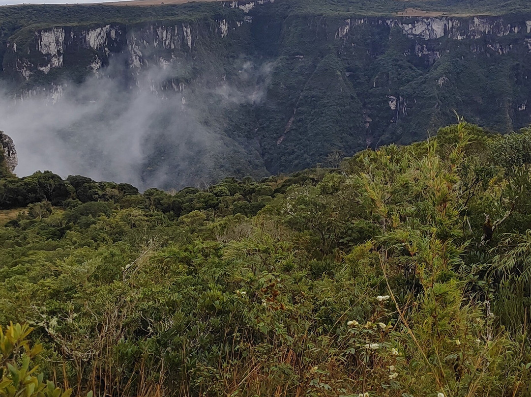 Aparados da Serra Tours-Cambará do Sul必去景点