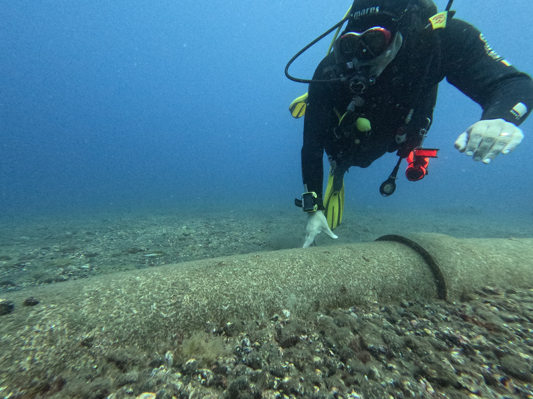 Ecological Divers Tenerife-Los Abrigos必去景点