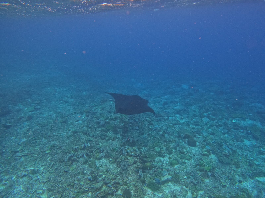 Flores Pristine Tour-Labuan Bajo必去景点