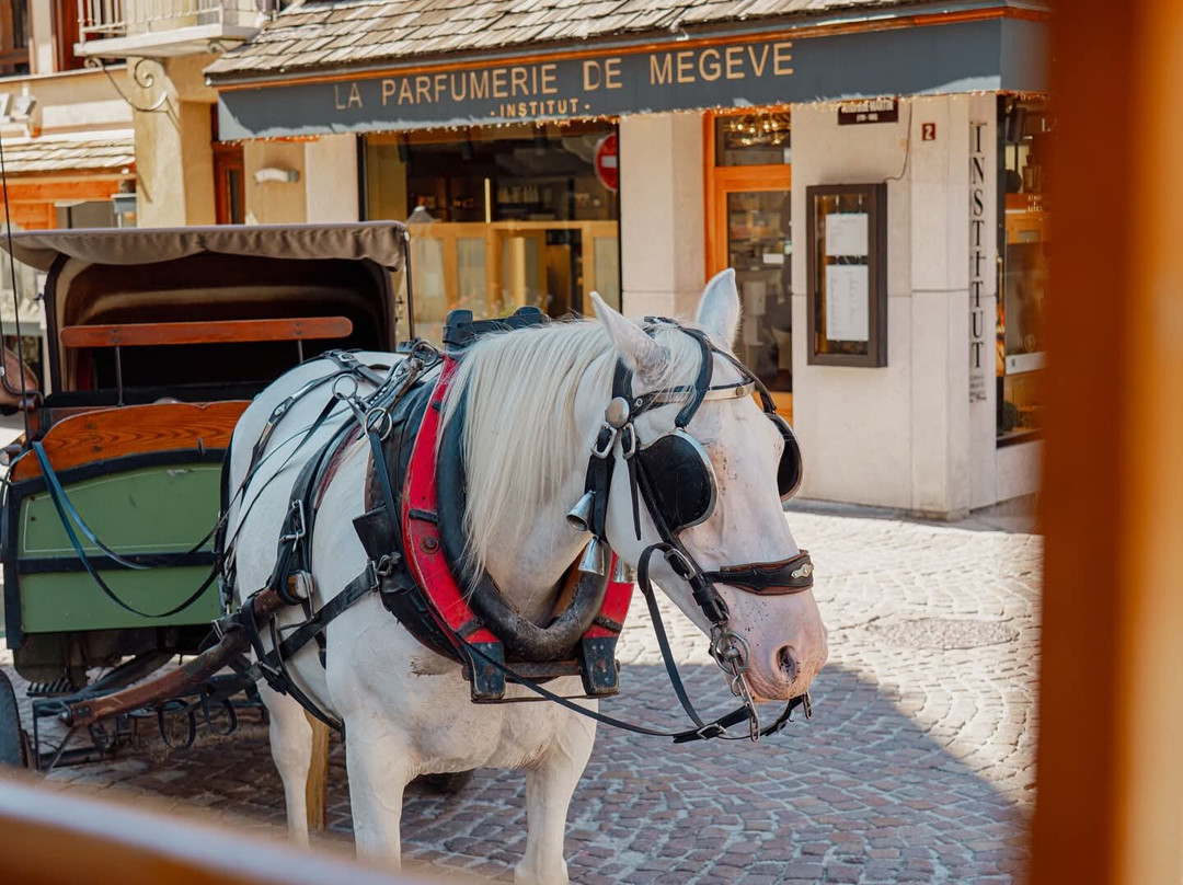 Megève Tourisme-梅杰夫必去景点