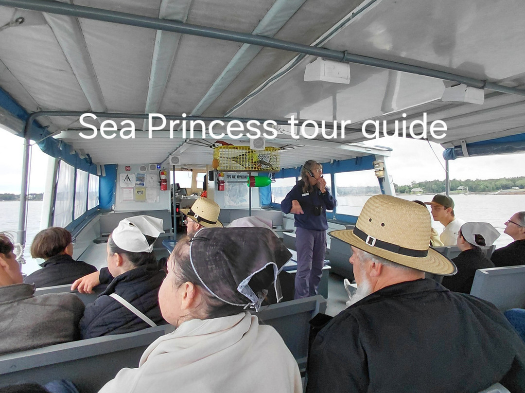 Sea Princess Cruises-Mount Desert必去景点