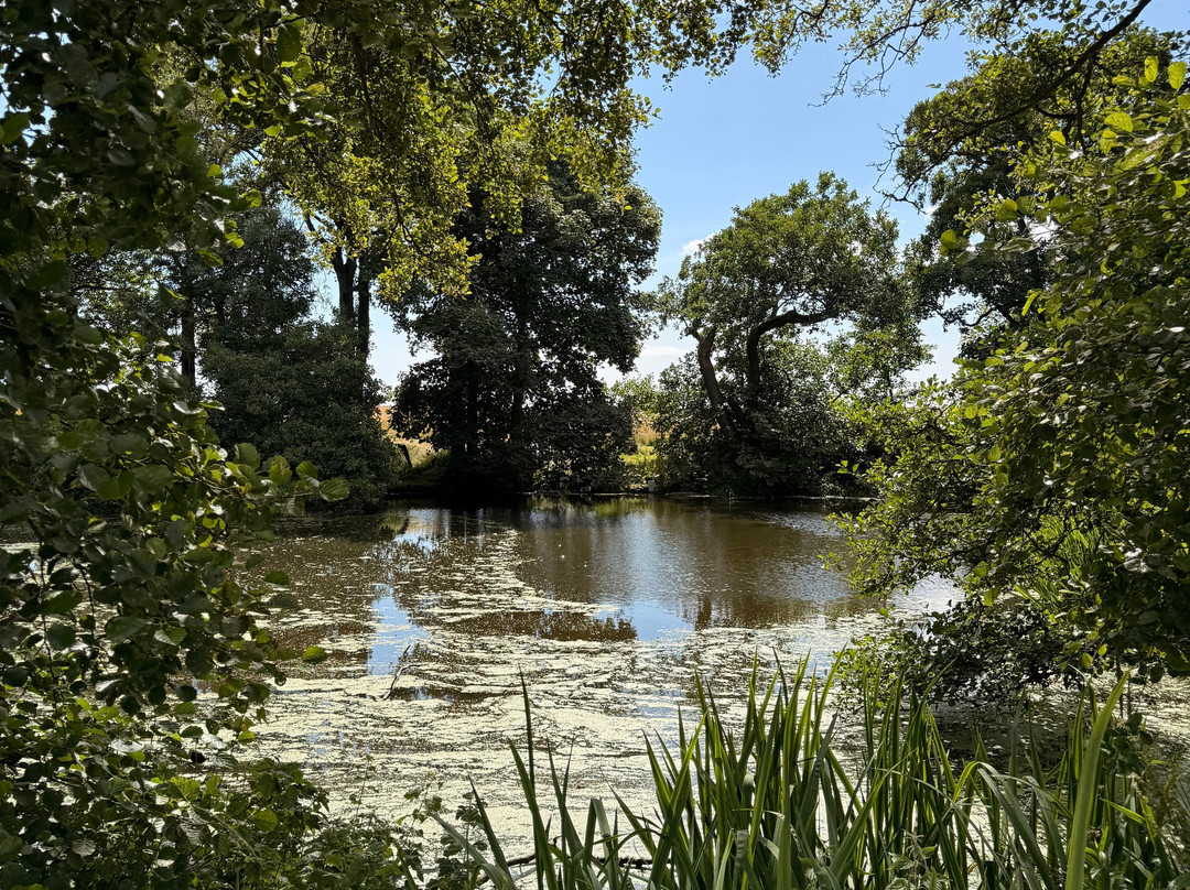 Langley Park Gardens-Montrose必去景点