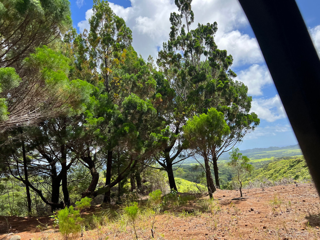 Kilohana Plantation-利胡埃必去景点
