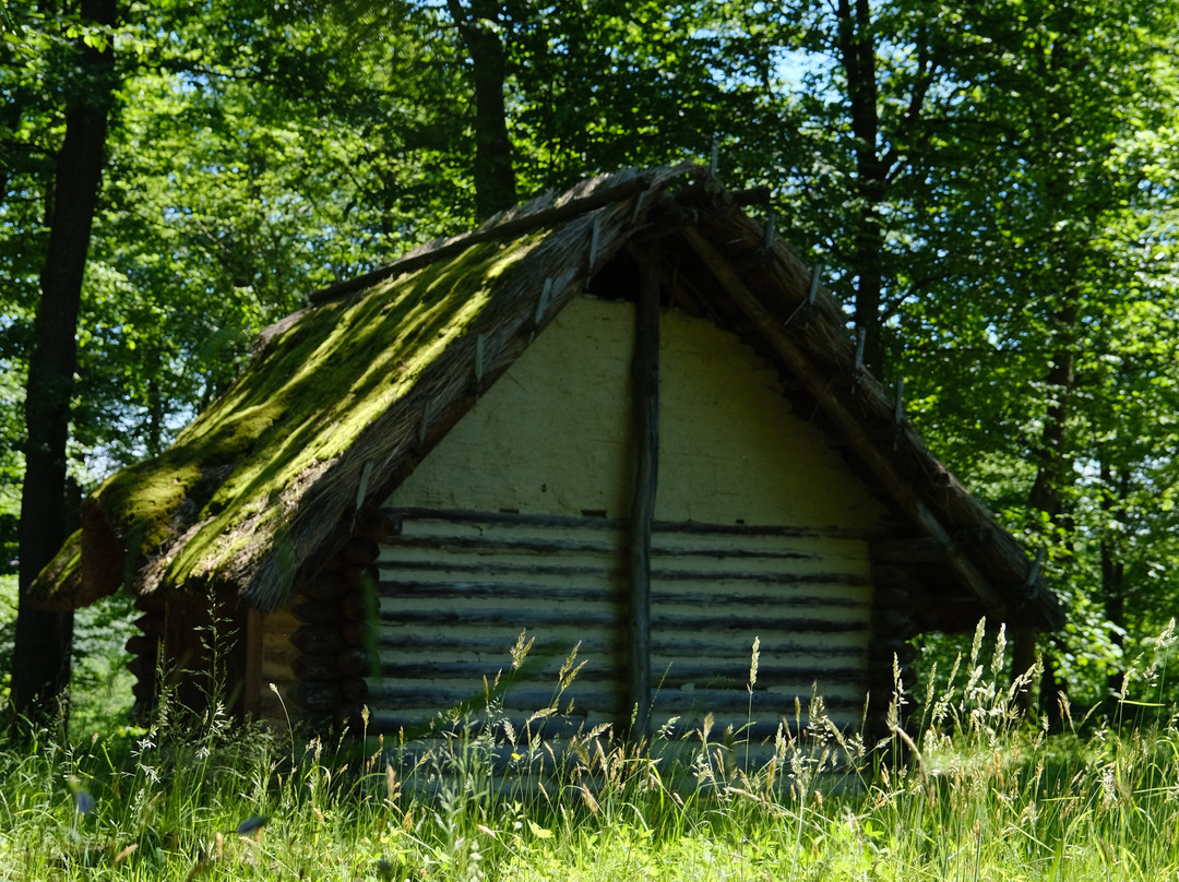Karpacka Troja-Trzcinica必去景点