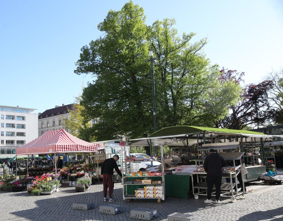 Gustav Adolfs Torg-马尔默必去景点