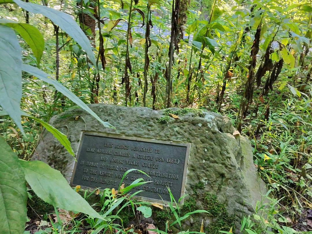 Asbury  Woods-伊利必去景点