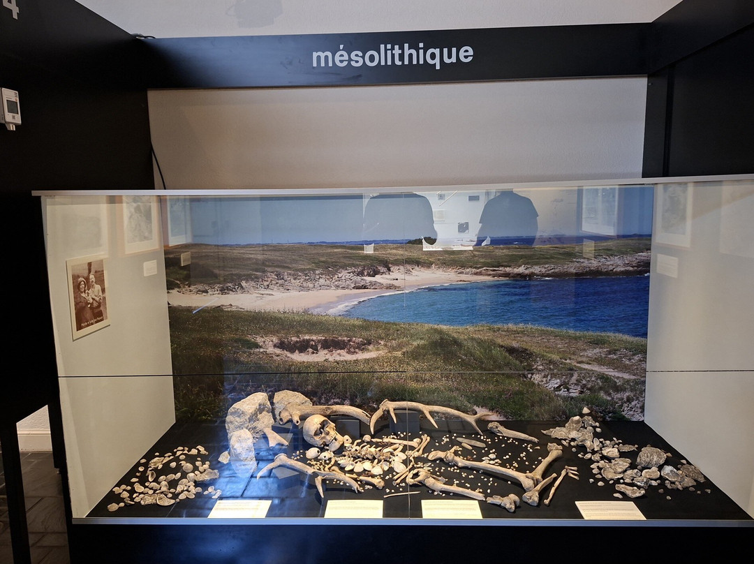 Musée de Préhistoire-卡纳克必去景点