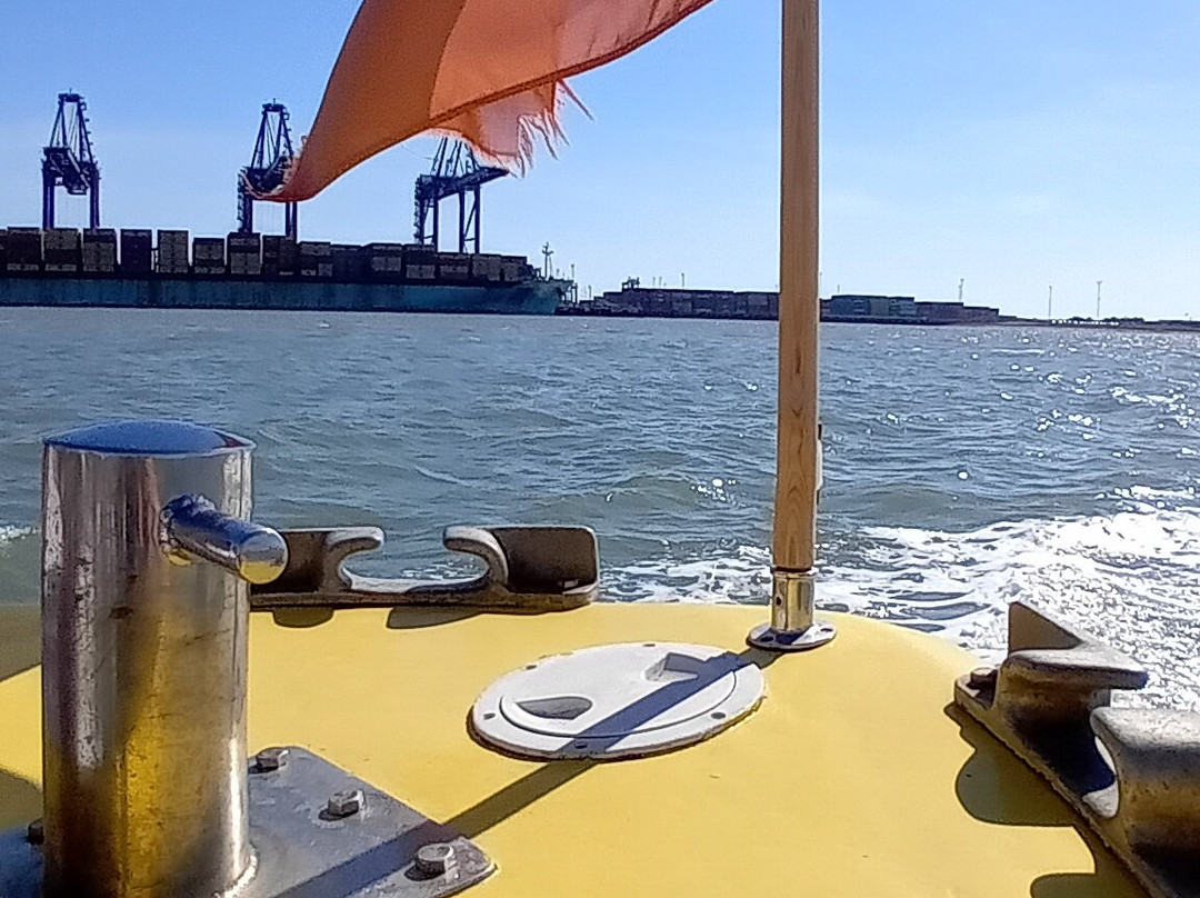 The Harbour Ferry-费力克斯托必去景点