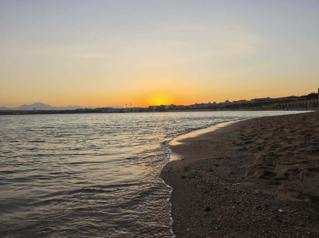 SRNTY Sahl Hasheesh