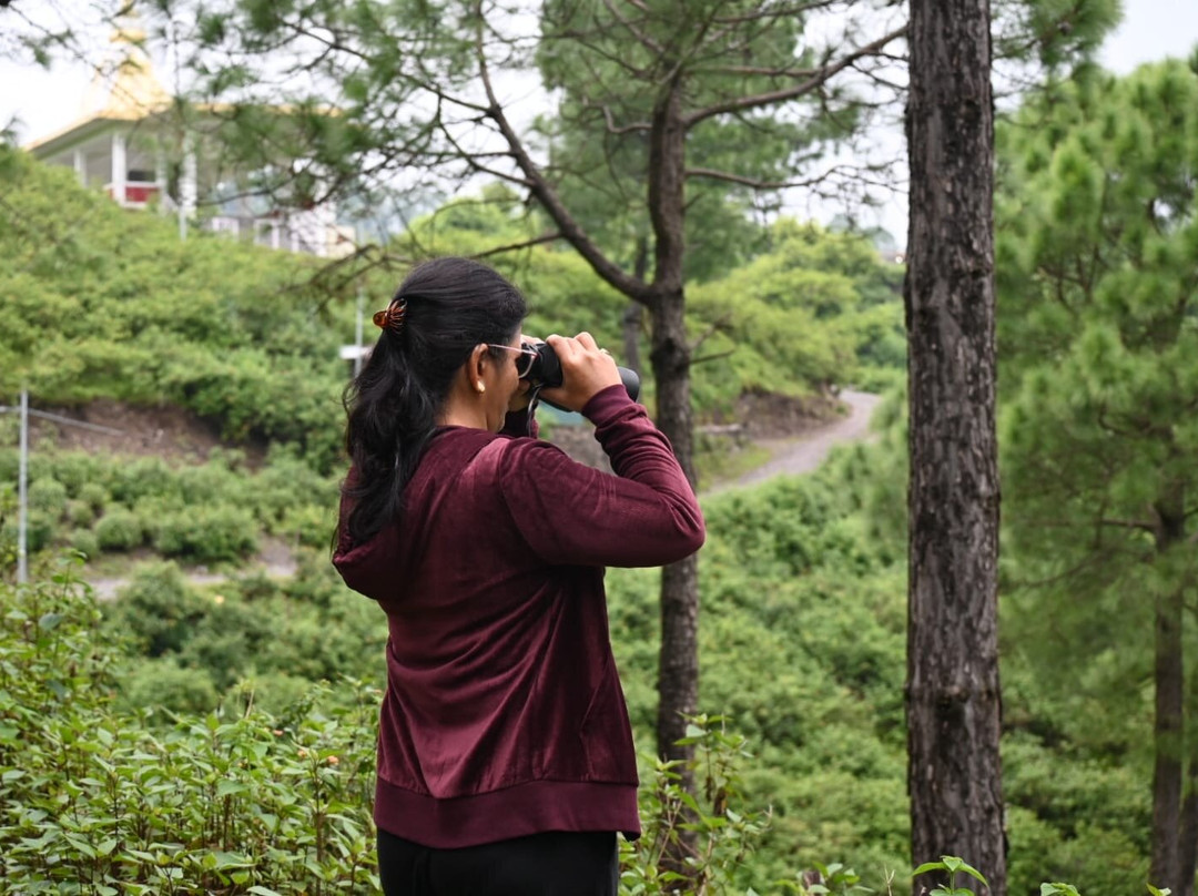 Sattal Forest Resort主图